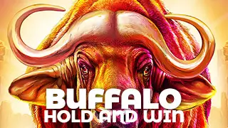 buffalo-hold-win
